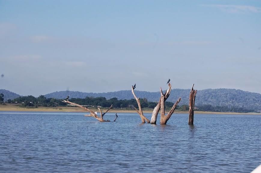 Hotel The Peepal Tree, Kabini Begūr Esterno foto