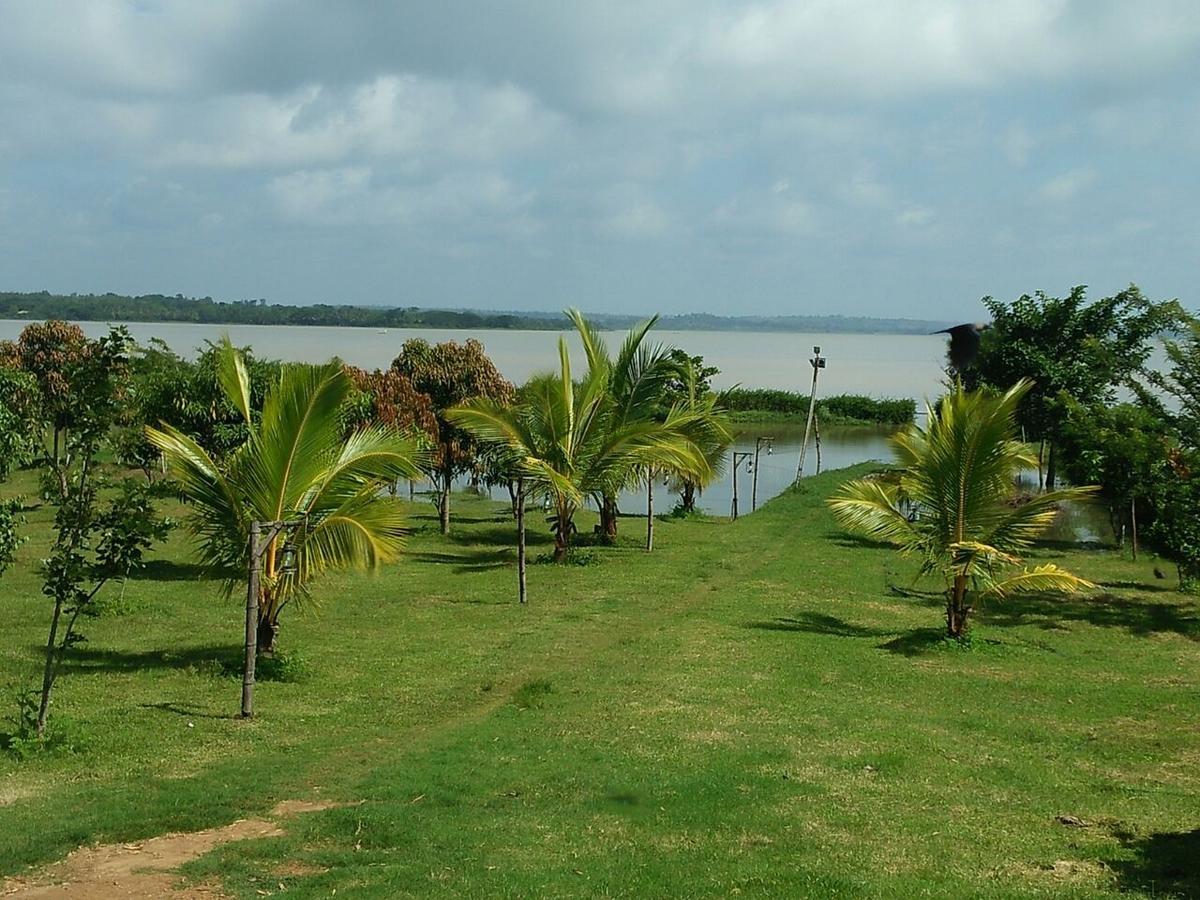 Hotel The Peepal Tree, Kabini Begūr Esterno foto