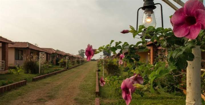 Hotel The Peepal Tree, Kabini Begūr Esterno foto